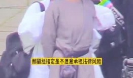 热巴吴磊最新爆料视频,幕后故事与精彩瞬间