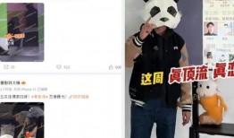 爆料人刘大锤视频大全,揭秘娱乐圈幕后真相